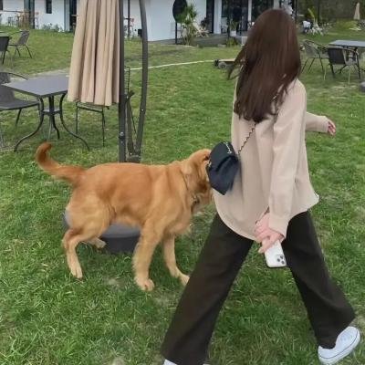 智能爱人粤语